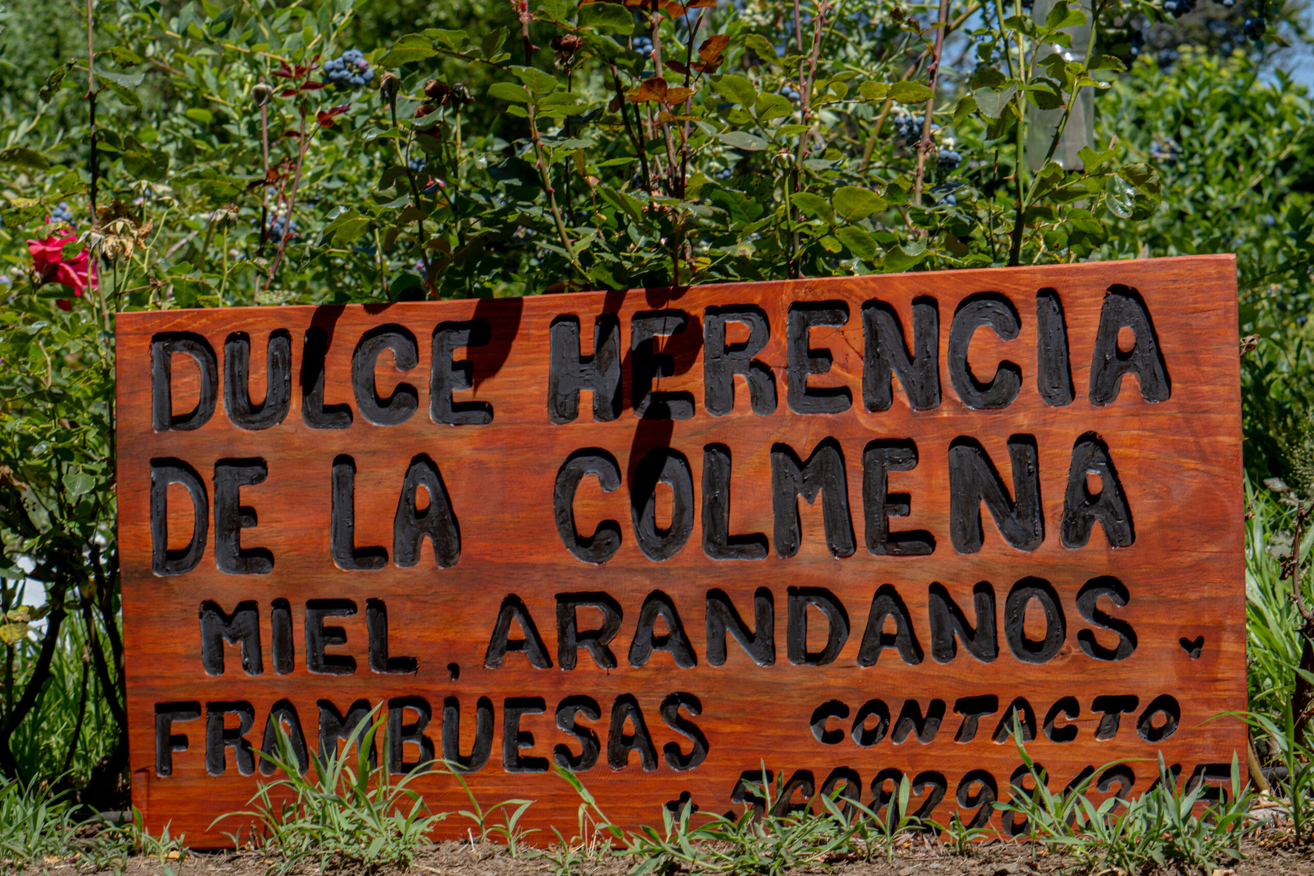 Paisajes y experiencias rurales de Quilaco